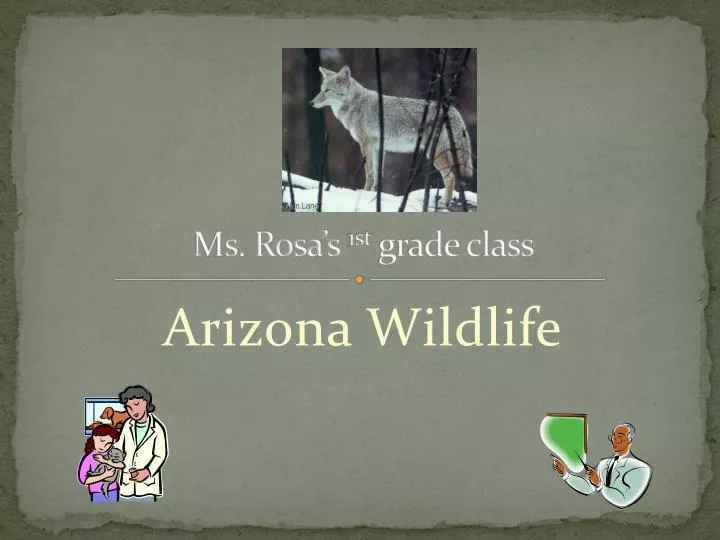 ms rosa s 1st grade class