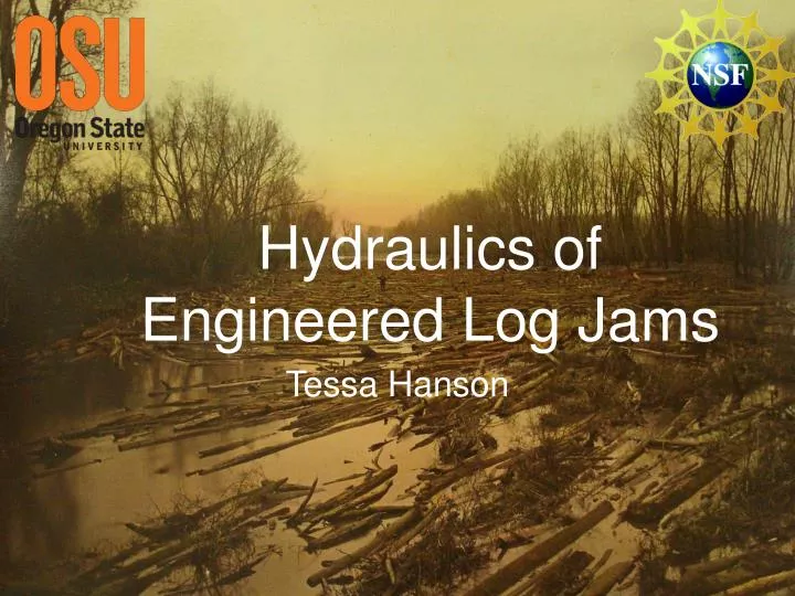 hydraulics of engineered log jams