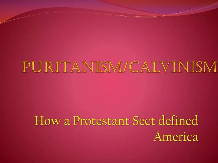 puritanism calvinism