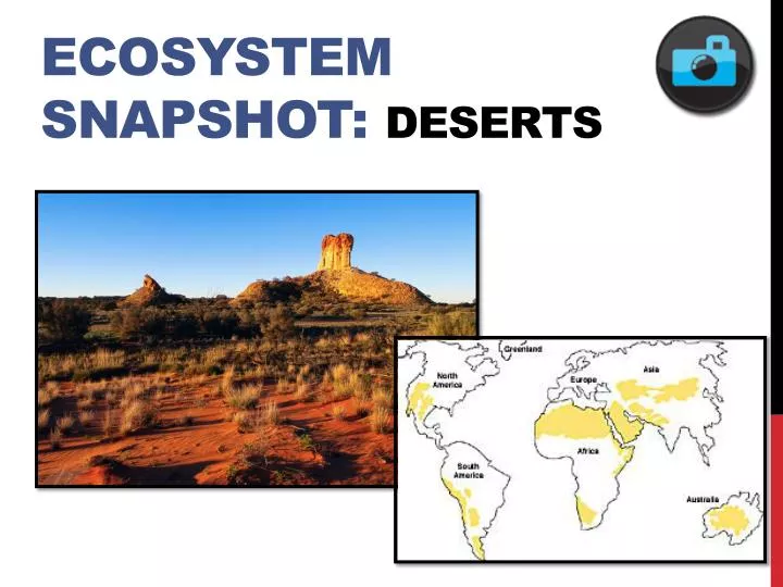 ecosystem snapshot deserts