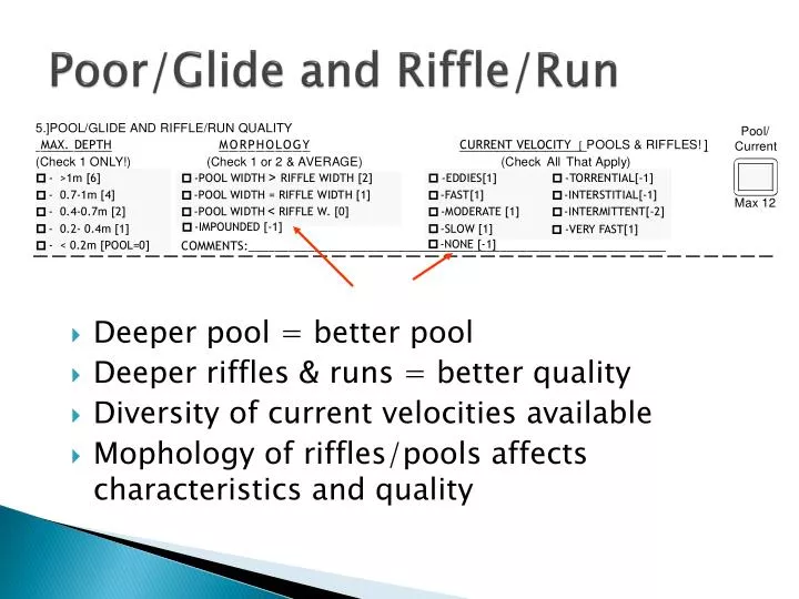 poor glide and riffle run