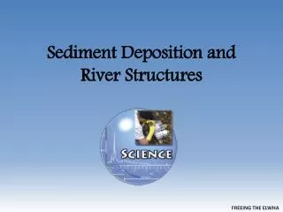 Sediment Deposition and River Structures