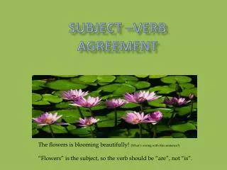 Subject –Verb AGREEMENT