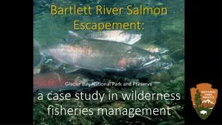 Bartlett River Salmon Escapement: a case study in wilderness fisheries management
