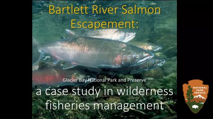 bartlett river salmon escapement a case study in wilderness fisheries management