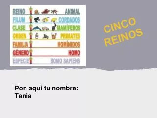 cinco reinos