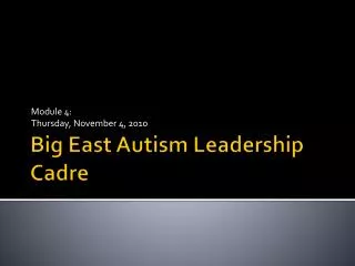 Big East Autism Leadership Cadre
