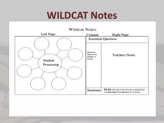 WILDCAT Notes