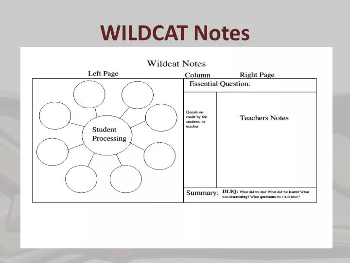 wildcat notes