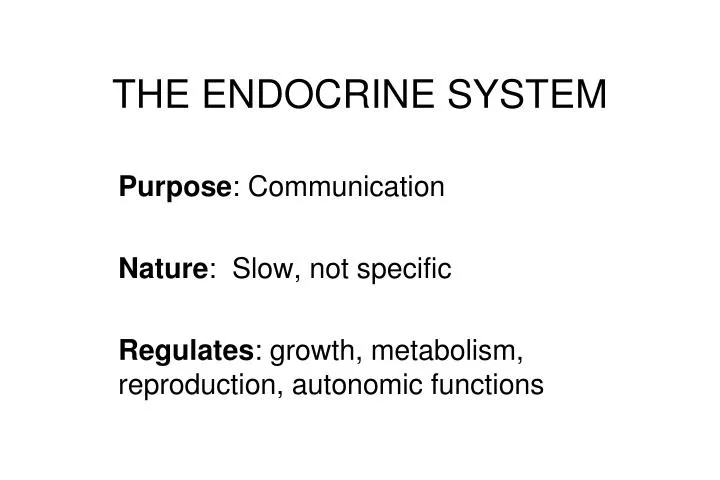 the endocrine system