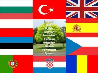 English Czech Polish Croatian Romanian Estonian Bulgarian Turkish Portuguese Spanish