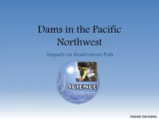 Dams in the Pacific Northwest
