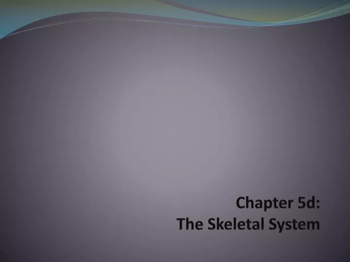 chapter 5d the skeletal system
