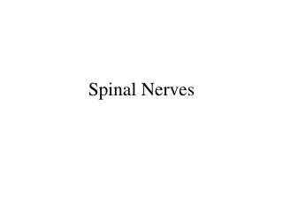 Spinal Nerves