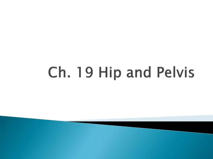 ch 19 hip and pelvis