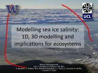 Modelling sea ice salinity: 1D , 3D modelling and implications for ecosystems