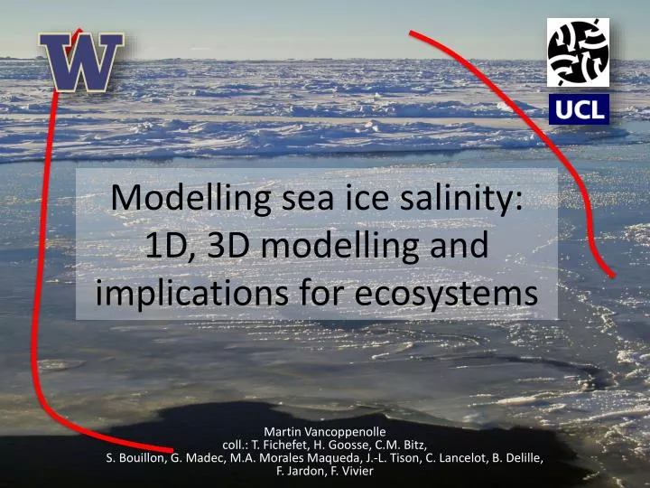 modelling sea ice salinity 1d 3d modelling and implications for ecosystems