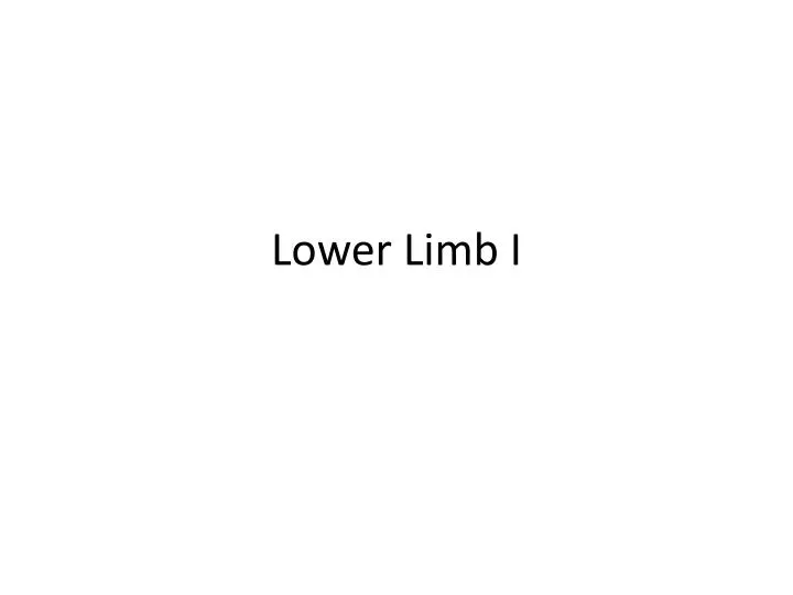 lower limb i