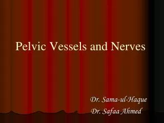 Pelvic Vessels and Nerves