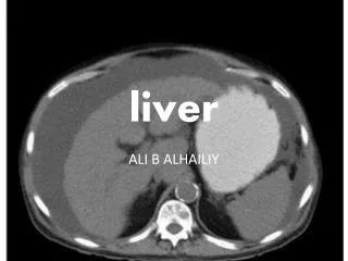 liver