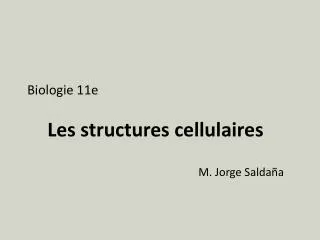 biologie 11e