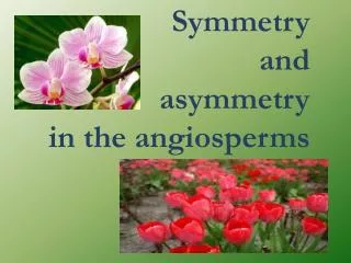 Symmetry and a symmetry in the angiosperms