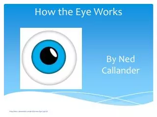 How the Eye Works