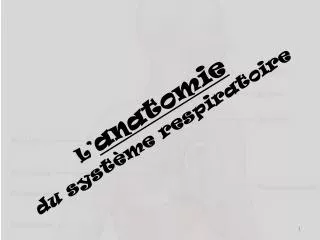 l anatomie du syst me respiratoire