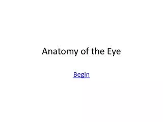 Anatomy of the Eye