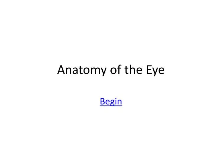 anatomy of the eye