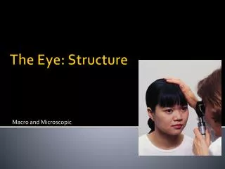 The Eye: Structure