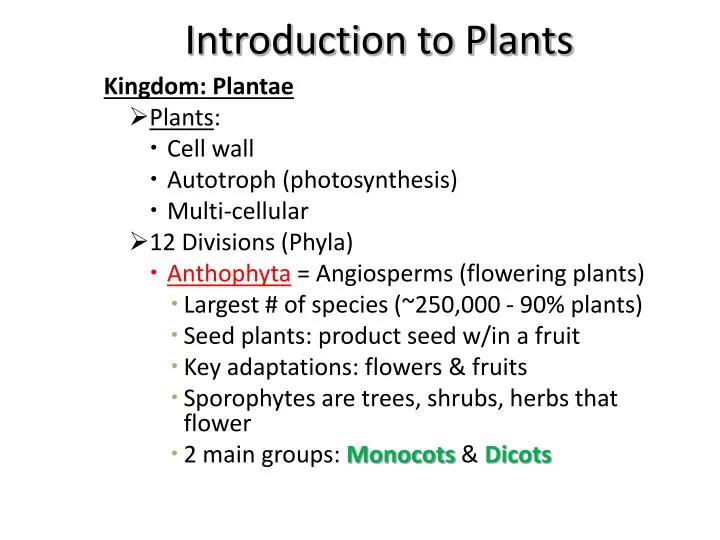 PPT - Introduction to Plants PowerPoint Presentation, free