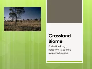 Grassland Biome