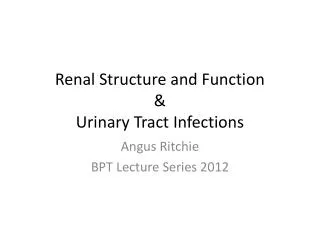 Renal Structure and Function &amp; Urinary Tract I nfections
