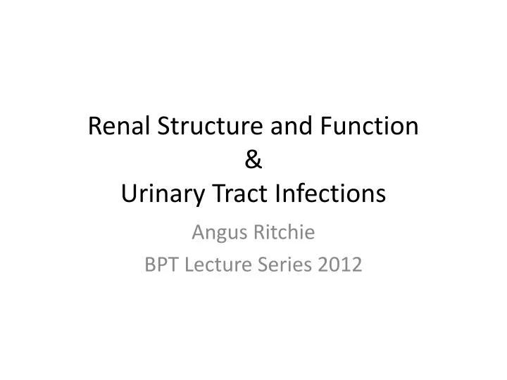 renal structure and function urinary tract i nfections