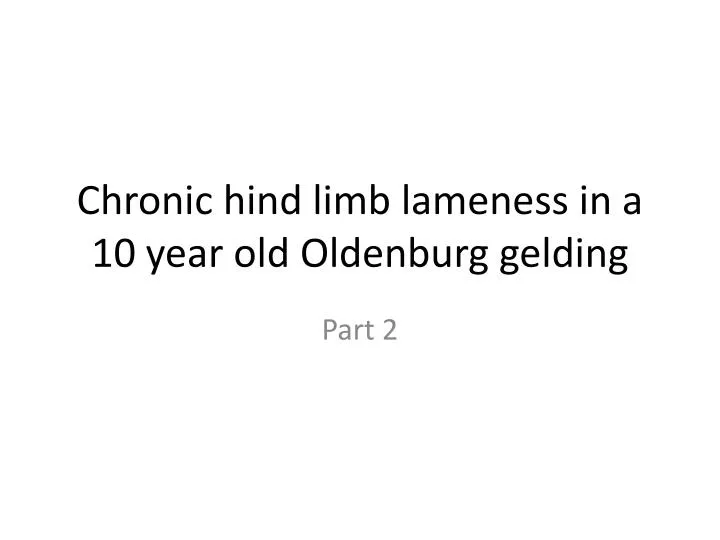 chronic hind limb lameness in a 10 year old oldenburg gelding