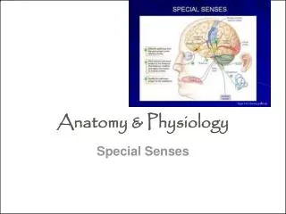 Anatomy &amp; Physiology