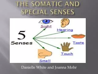 The somatic and special Senses
