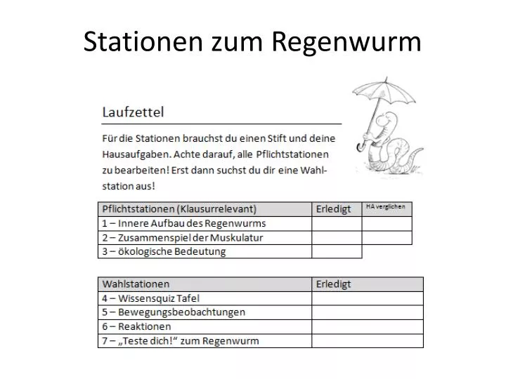 stationen zum regenwurm