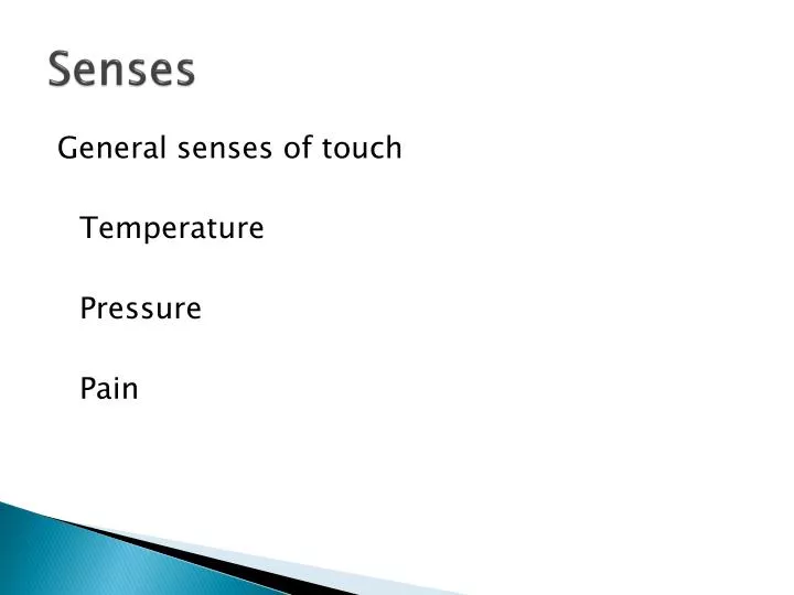 senses