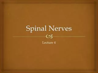 PPT - Lumbar Spinal Stenosis – Symptoms and Treatment PowerPoint ...