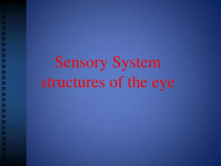 sensory system structures of the eye