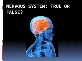 Nervous System: True or False?