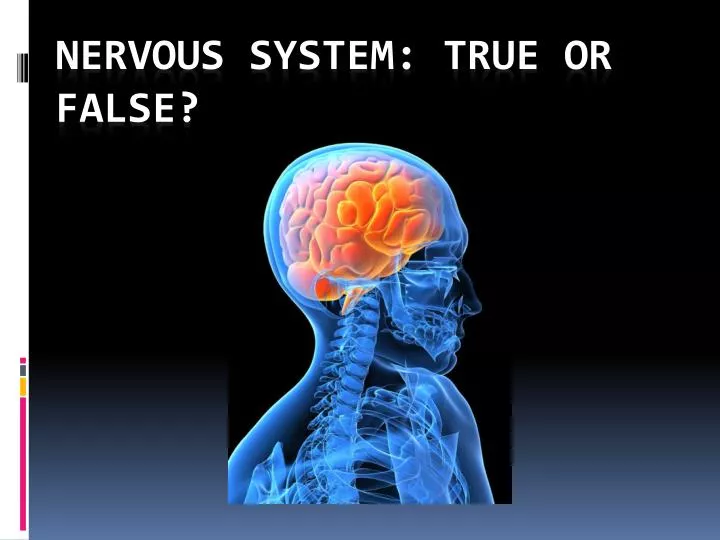 nervous system true or false