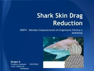 Shark Skin Drag Reduction