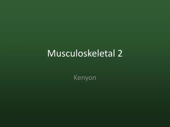 musculoskeletal 2