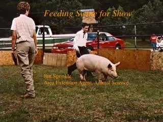 Feeding Swine for Show Jim Sprinkle Area Extension Agent, Animal Science