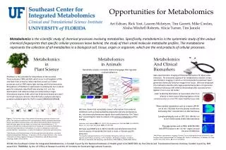 Opportunities for Metabolomics
