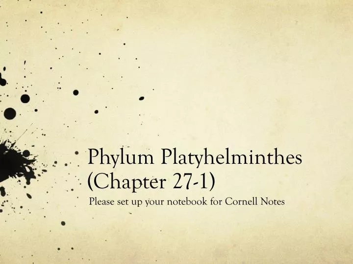 phylum platyhelminthes chapter 27 1