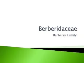 Berberidaceae